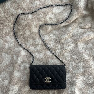 “Chanelll” purse